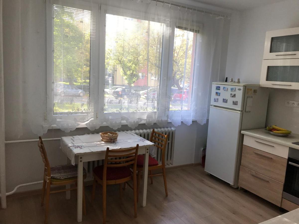 Sunny Appartment By The River ドルニー・クビーン エクステリア 写真